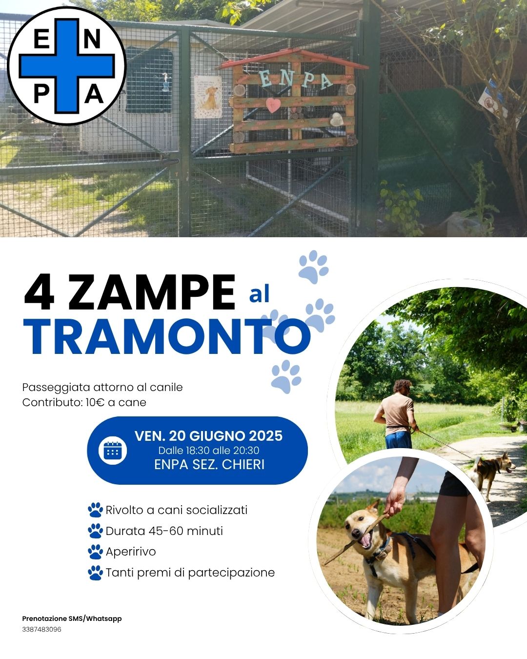 4 ZAMPE AL TRAMONTO