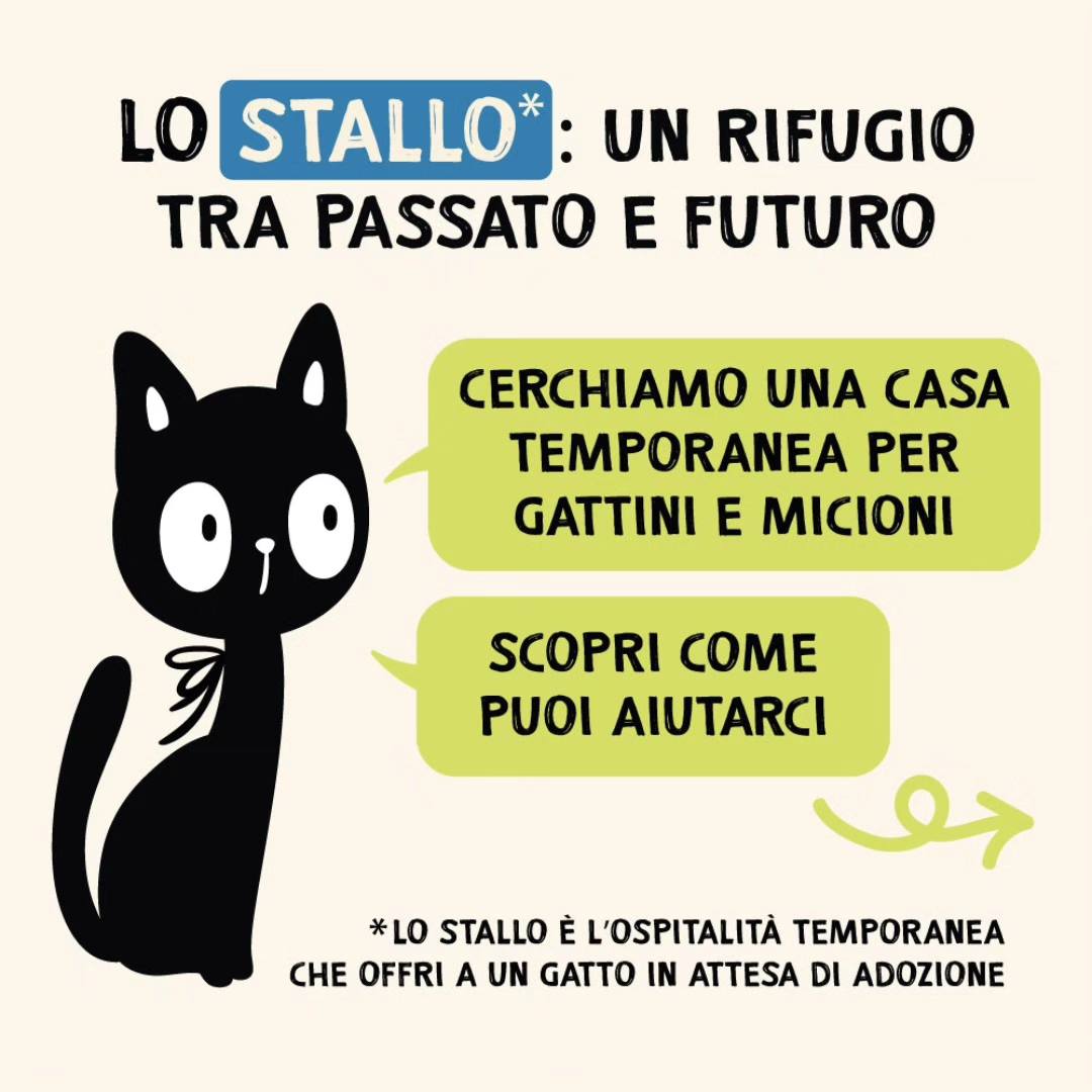 LO STALLO